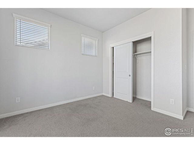 244 Veronica Dr, Windsor, CO 80550