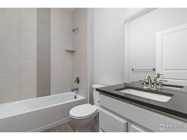 244 Veronica Dr, Windsor, CO 80550