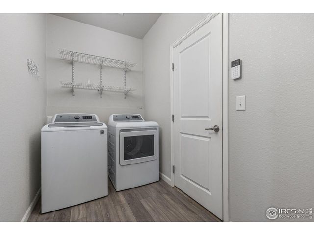 244 Veronica Dr, Windsor, CO 80550