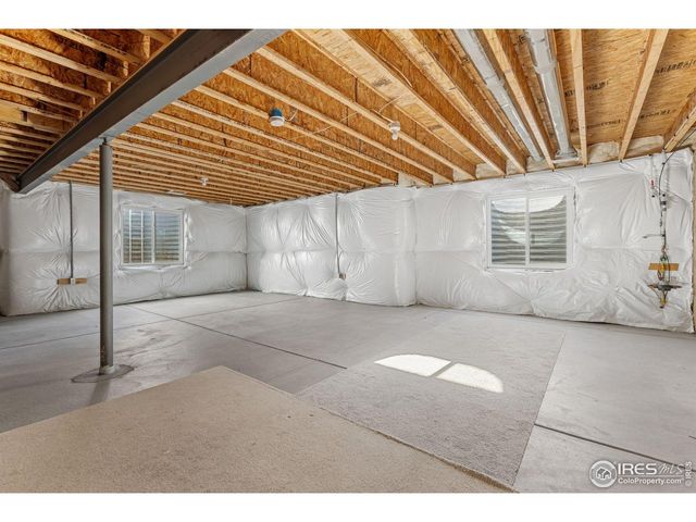 244 Veronica Dr, Windsor, CO 80550