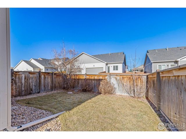 244 Veronica Dr, Windsor, CO 80550