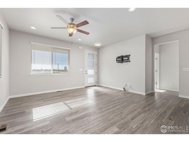 244 Veronica Dr, Windsor, CO 80550