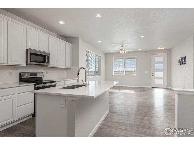 244 Veronica Dr, Windsor, CO 80550