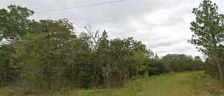 NE 151 TERRACE, Williston, FL 32696