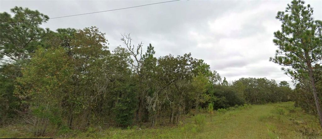 NE 151 TERRACE, Williston, FL 32696