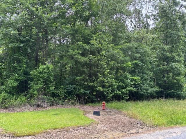 Lot 4 Branch Bridge ST, Branchville, VA 23828