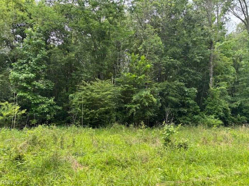 Lot 4 Branch Bridge ST, Branchville, VA 23828