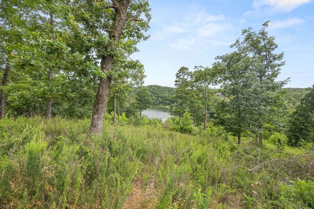 144 Acres Knabenschuh Drive, Garfield, AR 72732