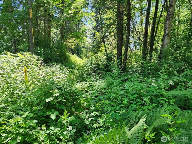 0 188th Street NE, Arlington, WA 98223