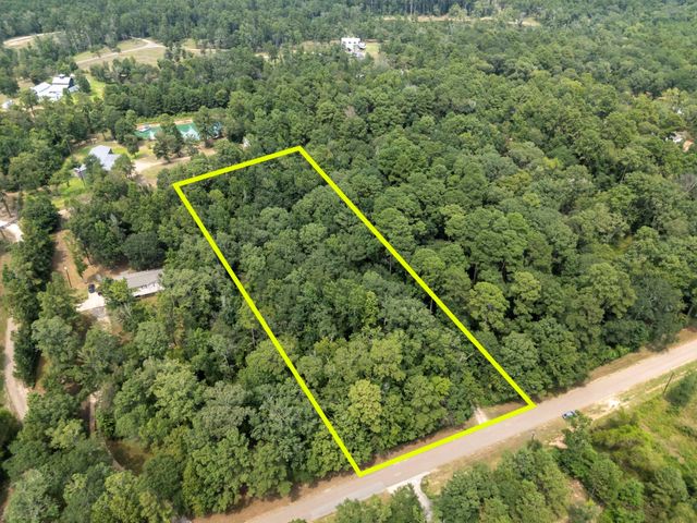 5903 Bee Creek Drive, Willis, TX 77378