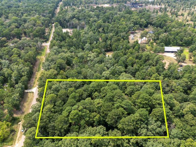 5903 Bee Creek Drive, Willis, TX 77378