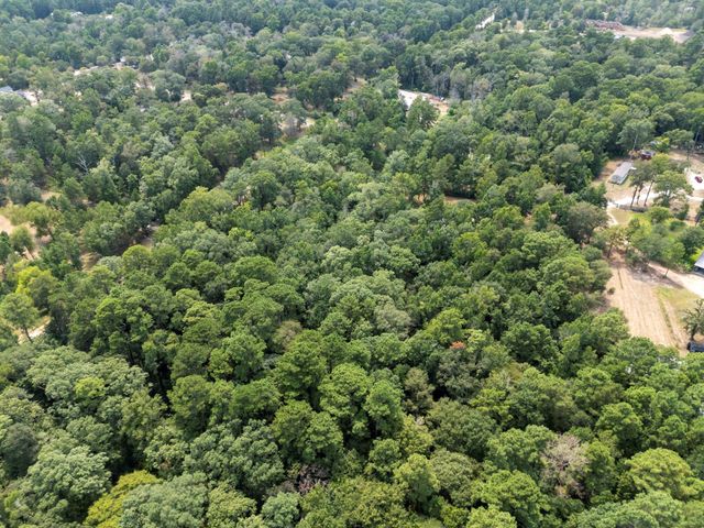 5903 Bee Creek Drive, Willis, TX 77378