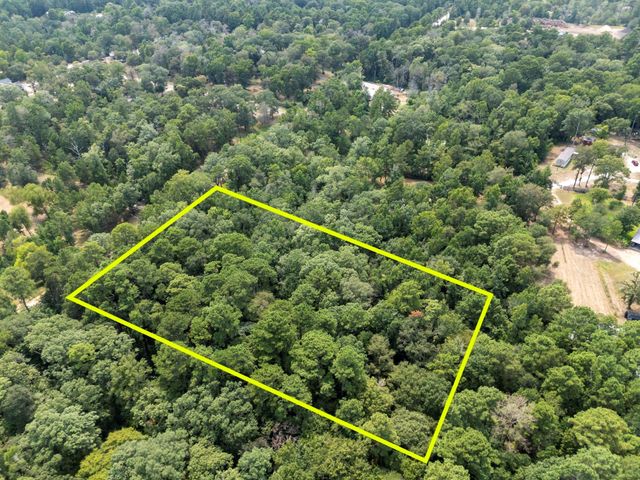 5903 Bee Creek Drive, Willis, TX 77378