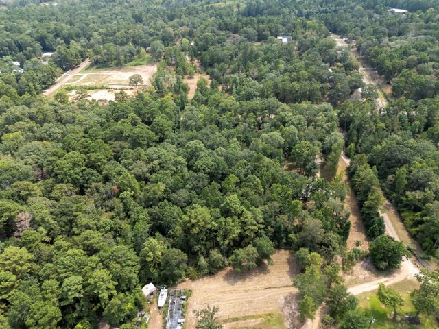 5903 Bee Creek Drive, Willis, TX 77378