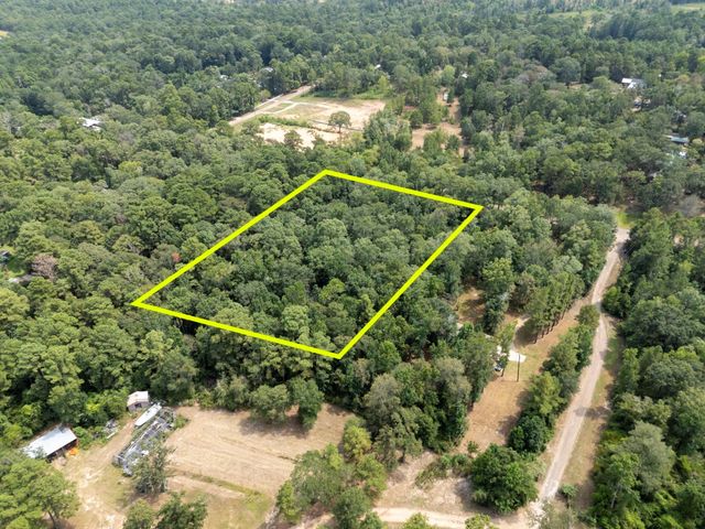 5903 Bee Creek Drive, Willis, TX 77378