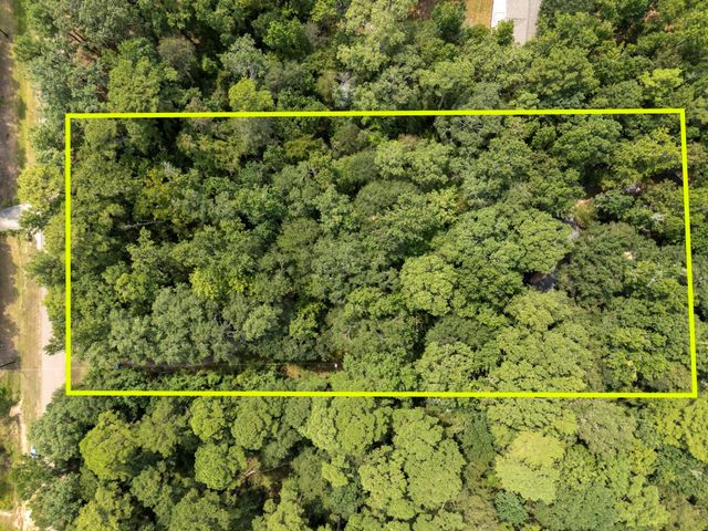 5903 Bee Creek Drive, Willis, TX 77378