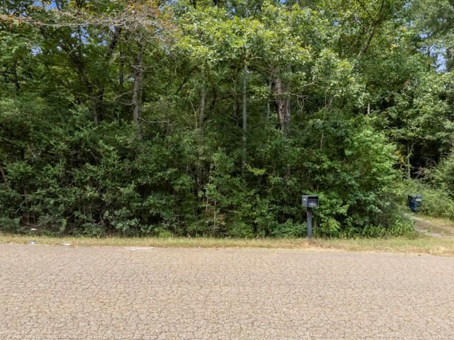 5903 Bee Creek Drive, Willis, TX 77378