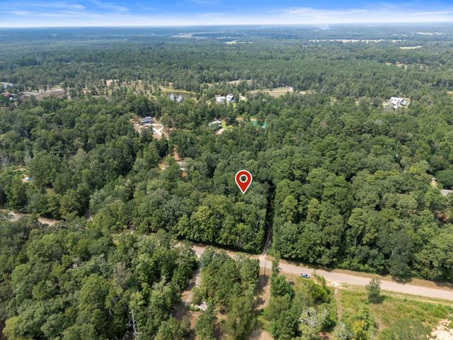 5903 Bee Creek Drive, Willis, TX 77378