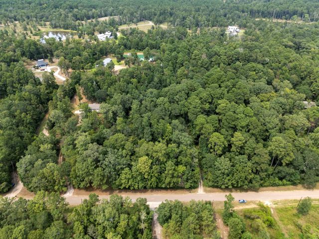5903 Bee Creek Drive, Willis, TX 77378