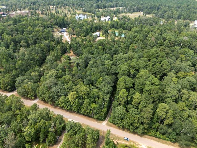5903 Bee Creek Drive, Willis, TX 77378