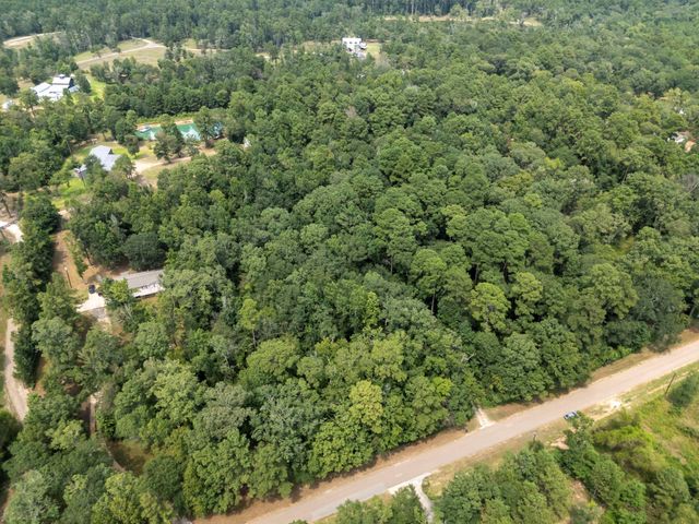 5903 Bee Creek Drive, Willis, TX 77378