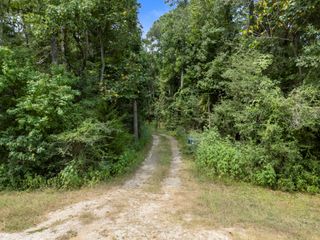 5903 Bee Creek Drive, Willis, TX 77378