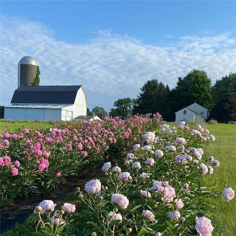 8361 State Route 5 And 20, West Bloomfield, NY 14469