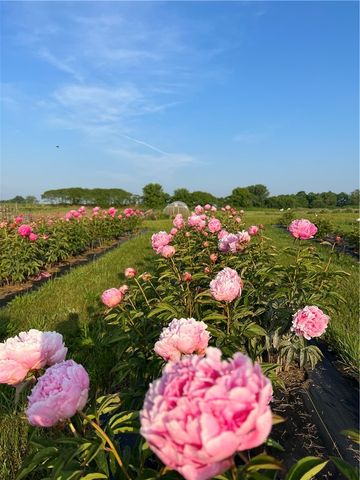 8361 State Route 5 And 20, West Bloomfield, NY 14469