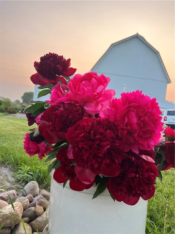 8361 State Route 5 And 20, West Bloomfield, NY 14469