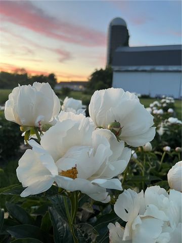 8361 State Route 5 And 20, West Bloomfield, NY 14469