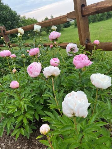 8361 State Route 5 And 20, West Bloomfield, NY 14469