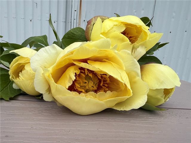 8361 State Route 5 And 20, West Bloomfield, NY 14469