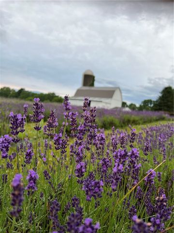 8361 State Route 5 And 20, West Bloomfield, NY 14469