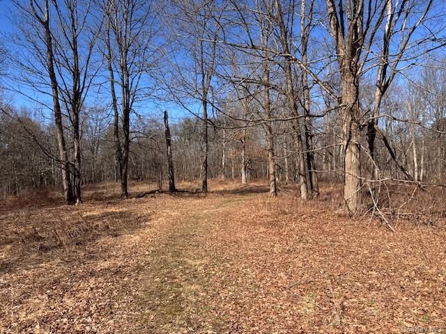 37-43 Nine Partners Road, Clinton Corners, NY 12514