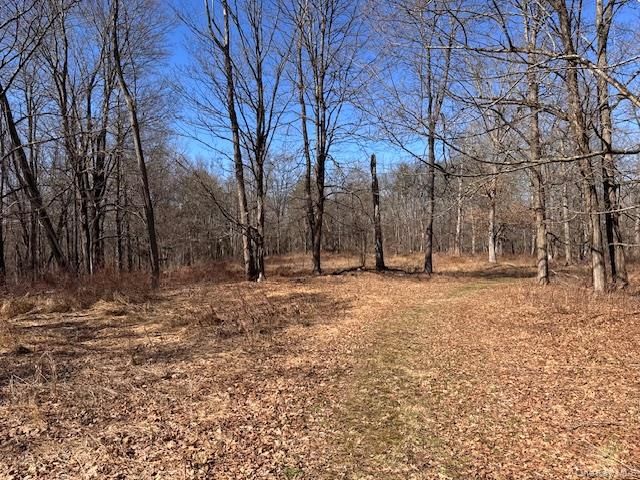 37-43 Nine Partners Road, Clinton Corners, NY 12514