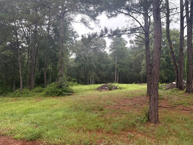 10570 Settlers Crossing, Conroe, TX 77303