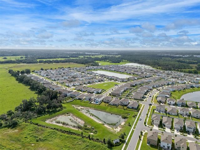 33503 FIELD MAPLE LOOP, Wesley Chapel, FL 33545