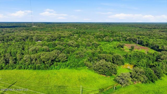 1031 Thigpen Road, Raymond, MS 39154