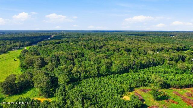 1031 Thigpen Road, Raymond, MS 39154
