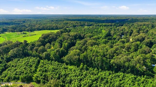 1031 Thigpen Road, Raymond, MS 39154