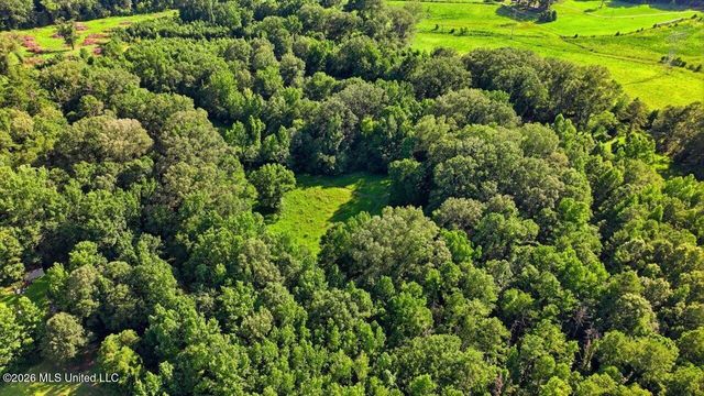 1031 Thigpen Road, Raymond, MS 39154