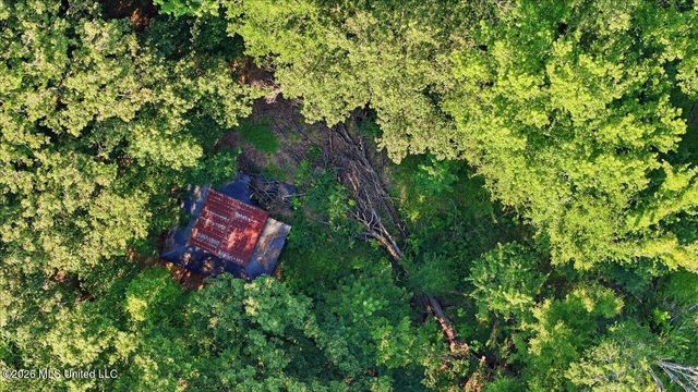 1031 Thigpen Road, Raymond, MS 39154