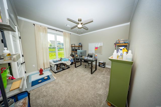 13017 Avilla Hills Cove, Alexander, AR 72002