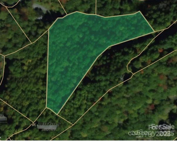 00 Seasons Drive Lot 43, Clyde, NC 28721