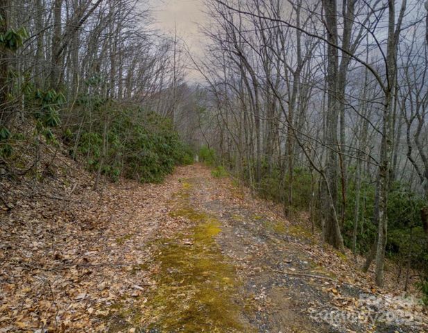 00 Seasons Drive Lot 43, Clyde, NC 28721