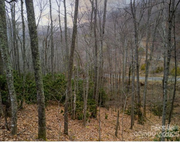 00 Seasons Drive Lot 43, Clyde, NC 28721