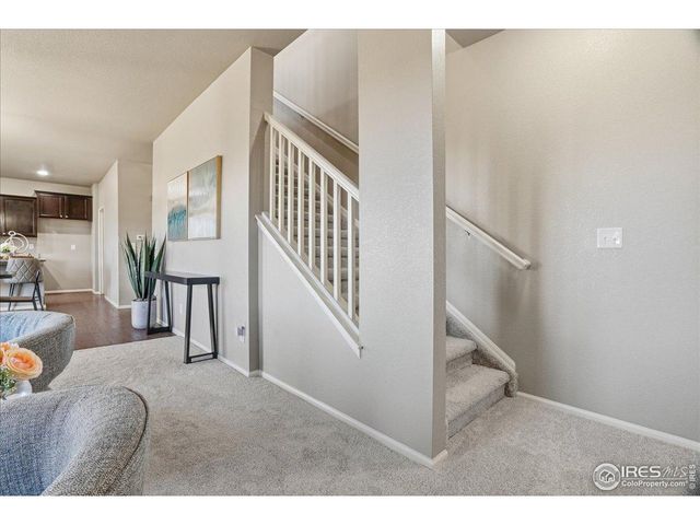 2178 Longfin Dr, Windsor, CO 80550