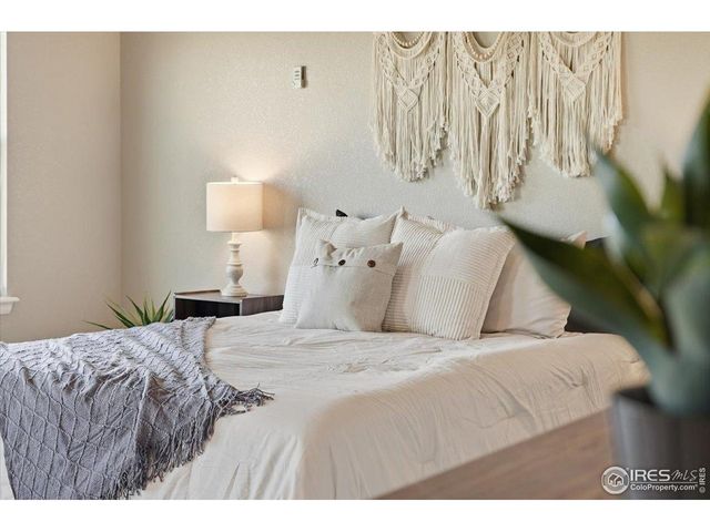 2178 Longfin Dr, Windsor, CO 80550