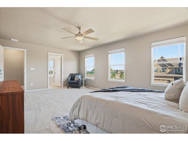 2178 Longfin Dr, Windsor, CO 80550