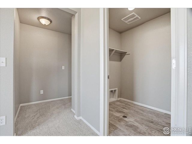 2178 Longfin Dr, Windsor, CO 80550